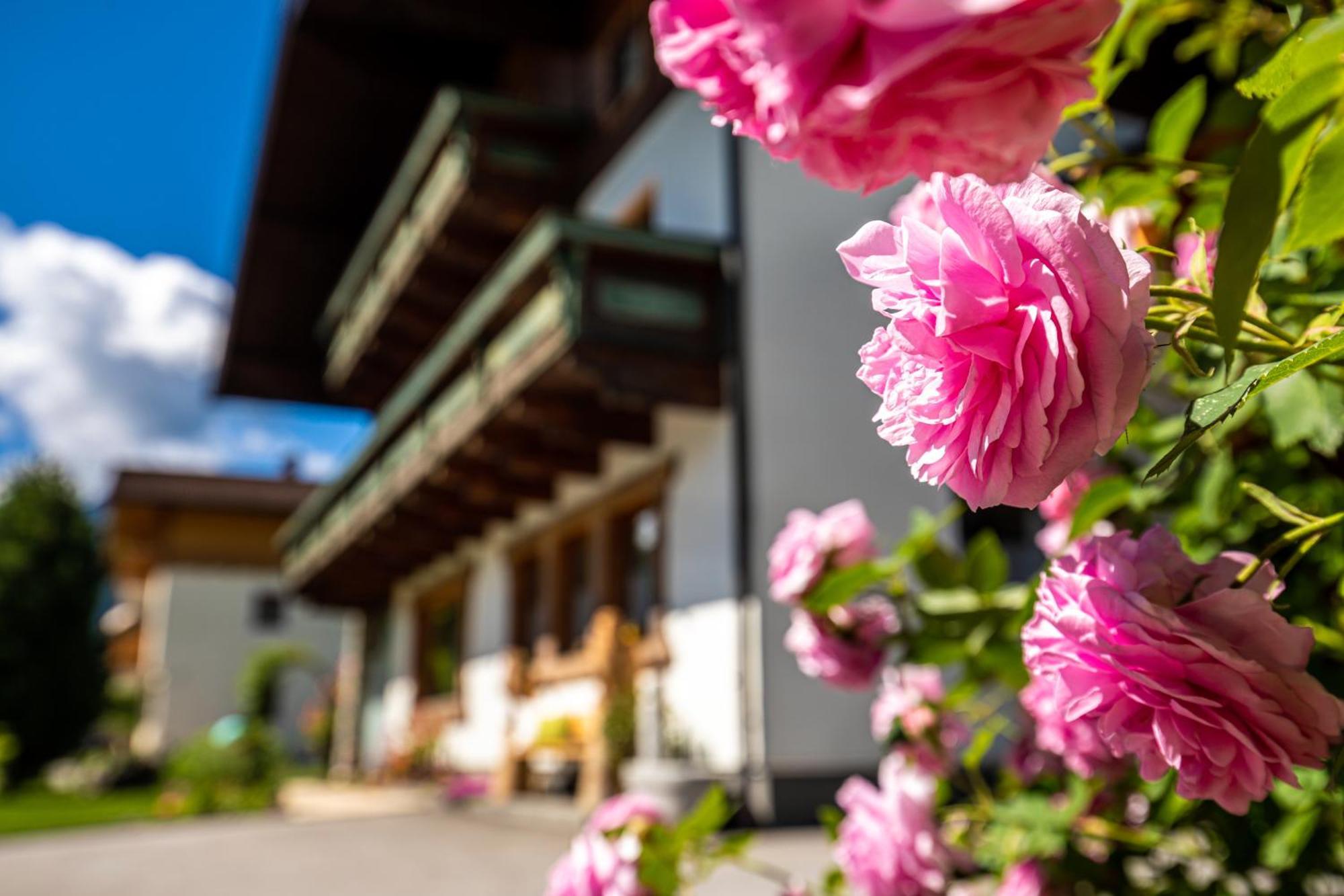 Holiday Im Gaestehaus Warter In Altenmarkt Altenmarkt im Pongau Exterior foto