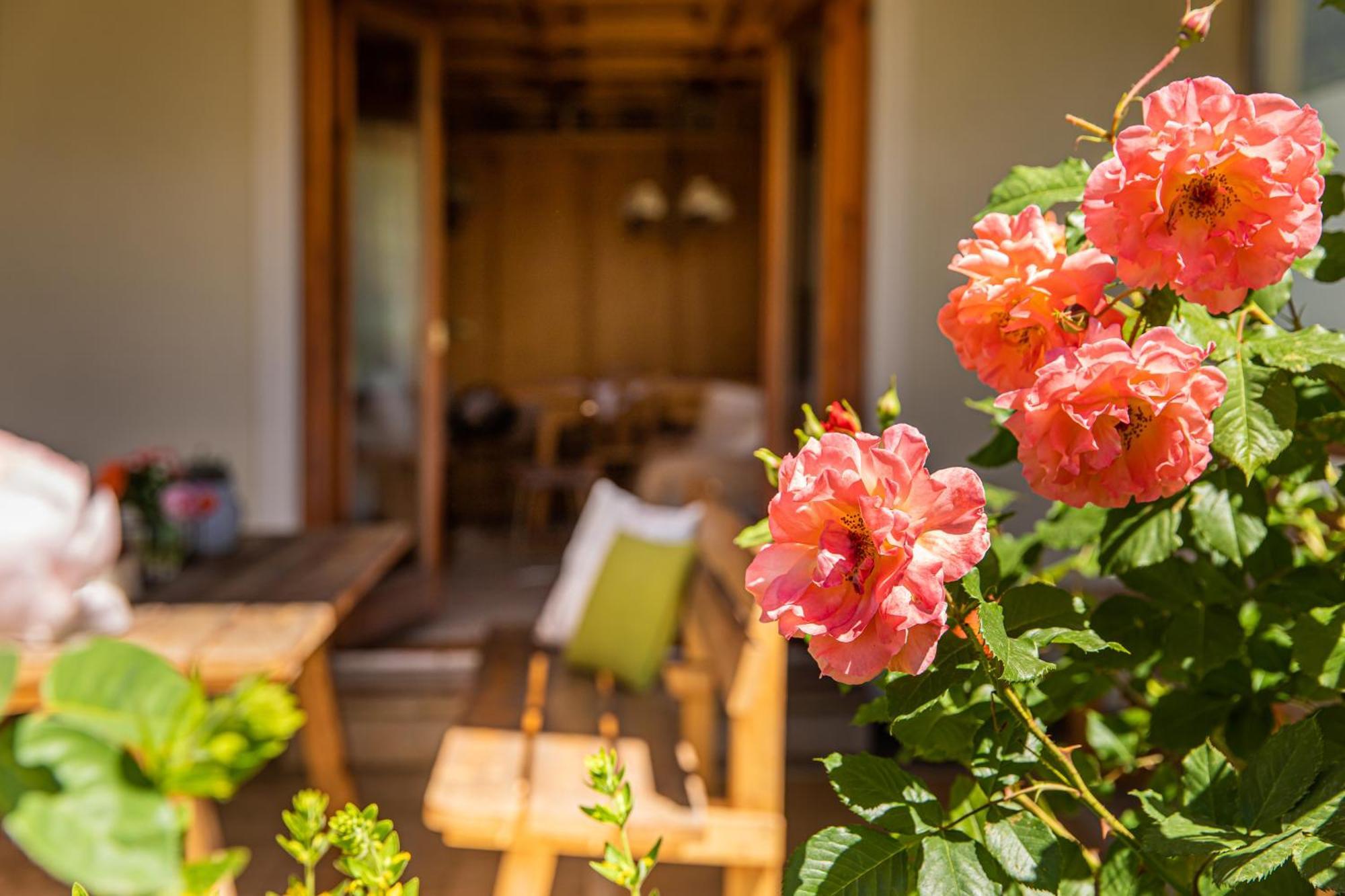 Holiday Im Gaestehaus Warter In Altenmarkt Altenmarkt im Pongau Exterior foto